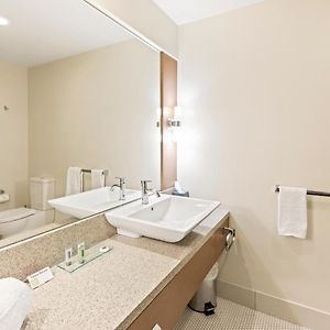 Executive Twin Suite